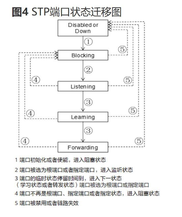 生成树协议-2026-0801-12:56:04-5