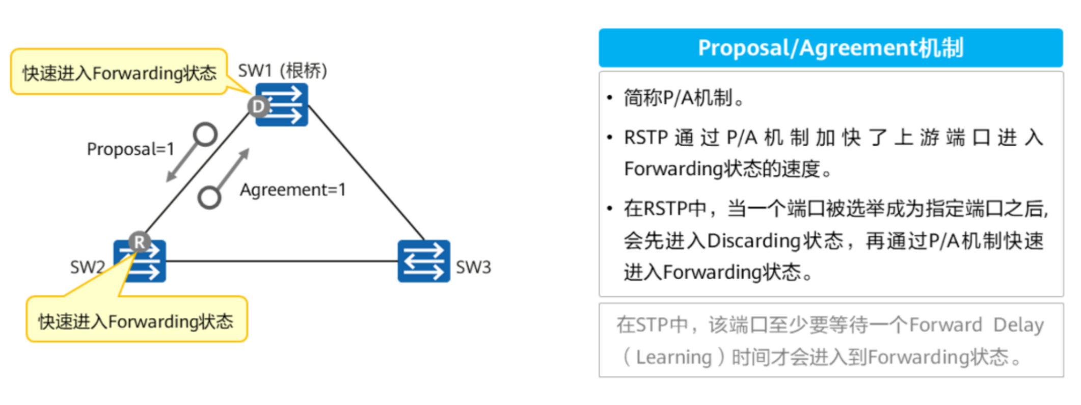 生成树协议-2026-0801-12:56:15-32