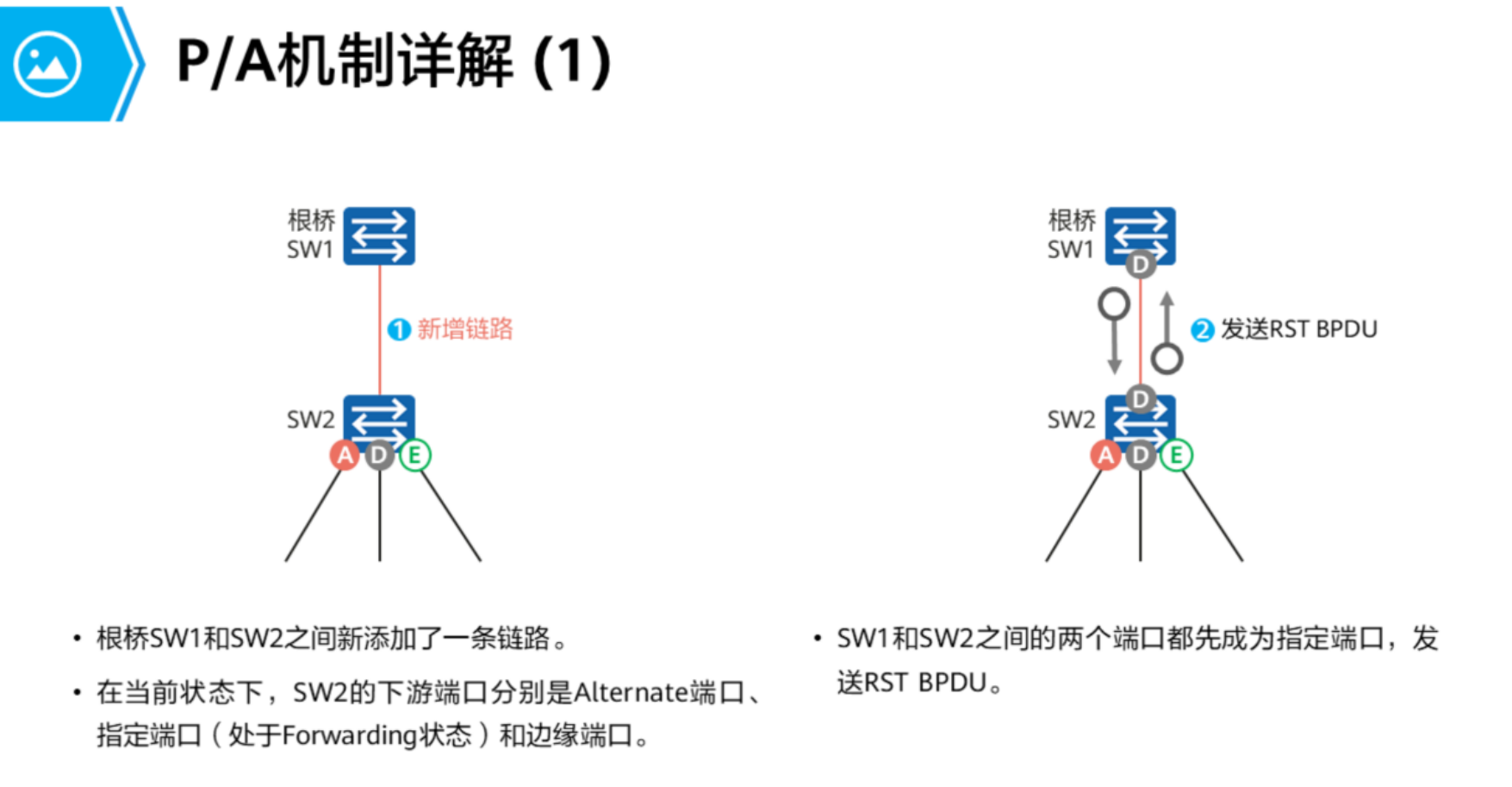 生成树协议-2026-0801-12:56:15-33