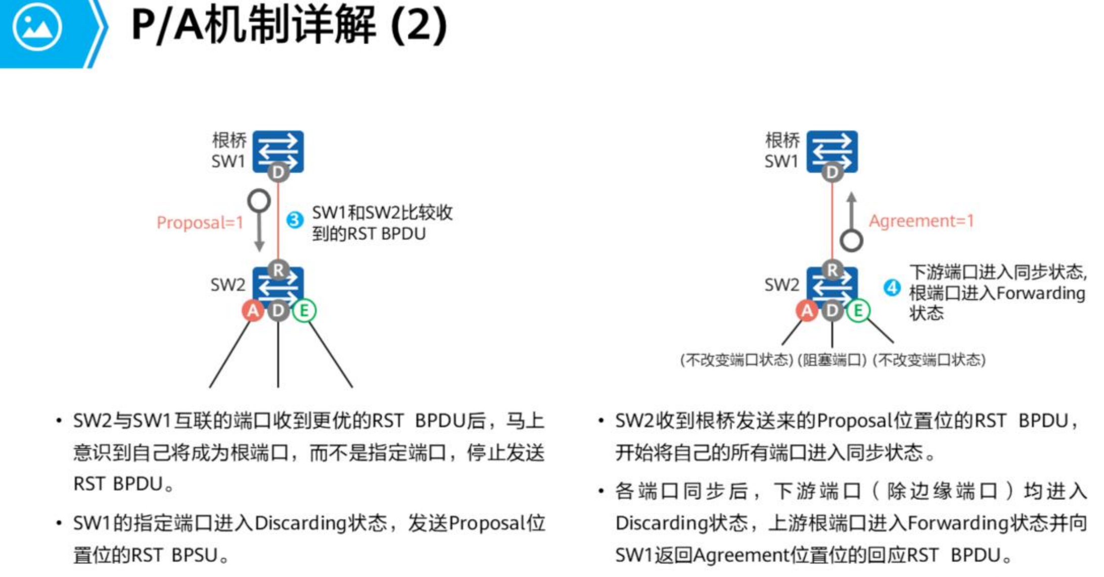 生成树协议-2026-0801-12:56:16-34