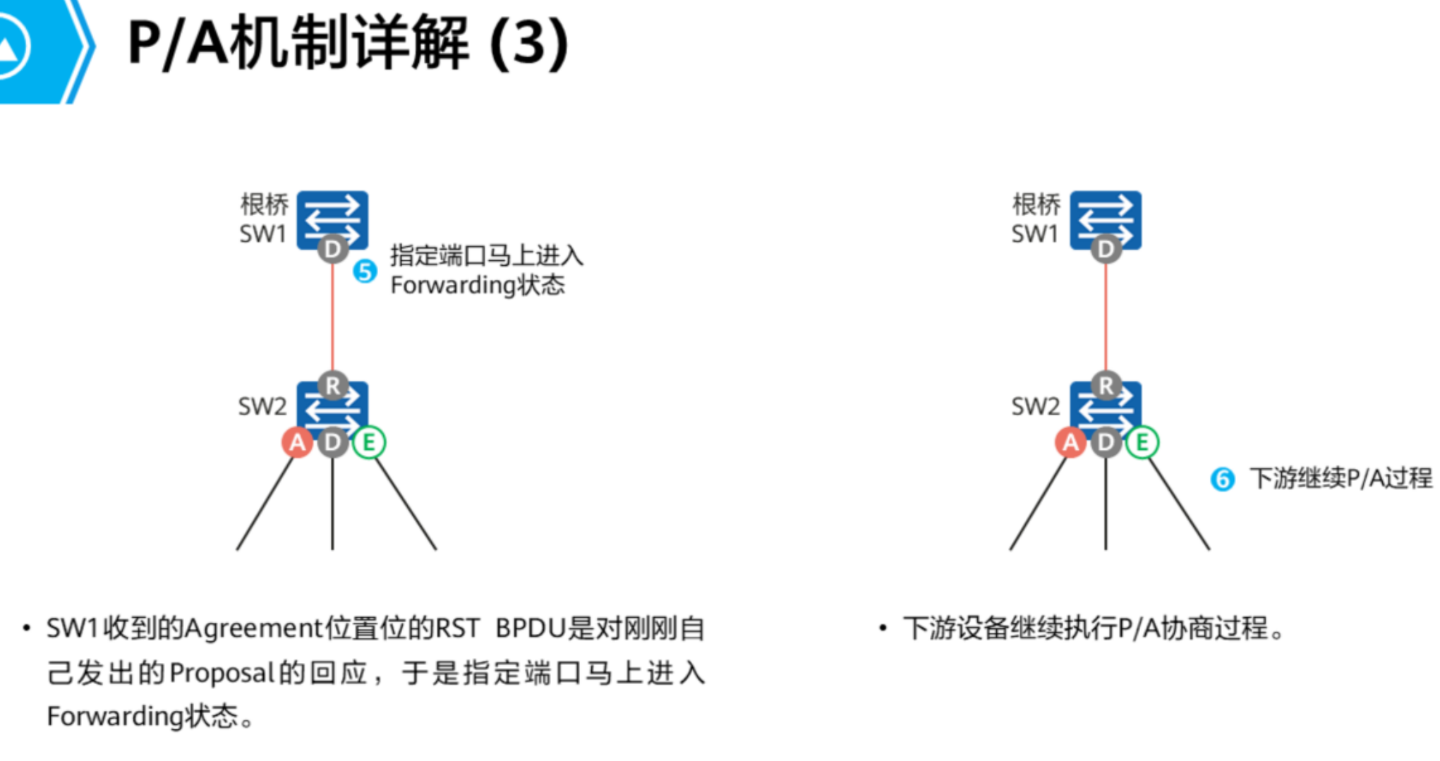 生成树协议-2026-0801-12:56:16-35
