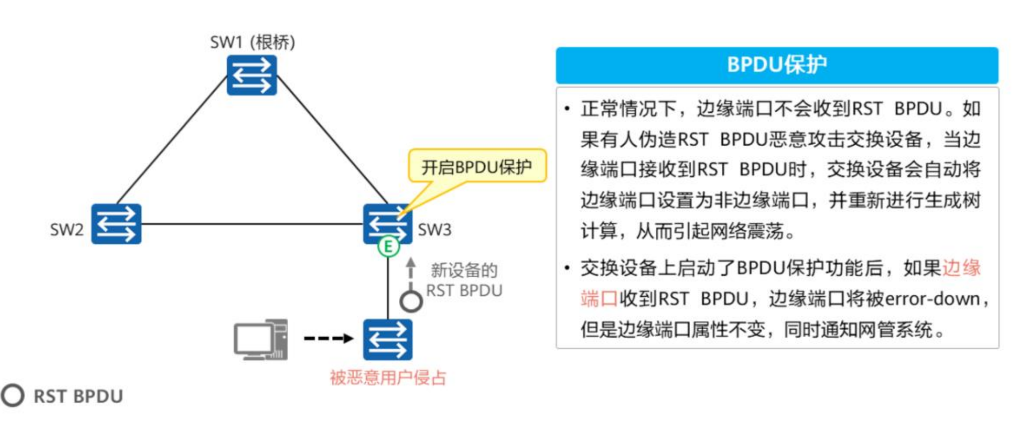 生成树协议-2026-0801-12:56:17-39