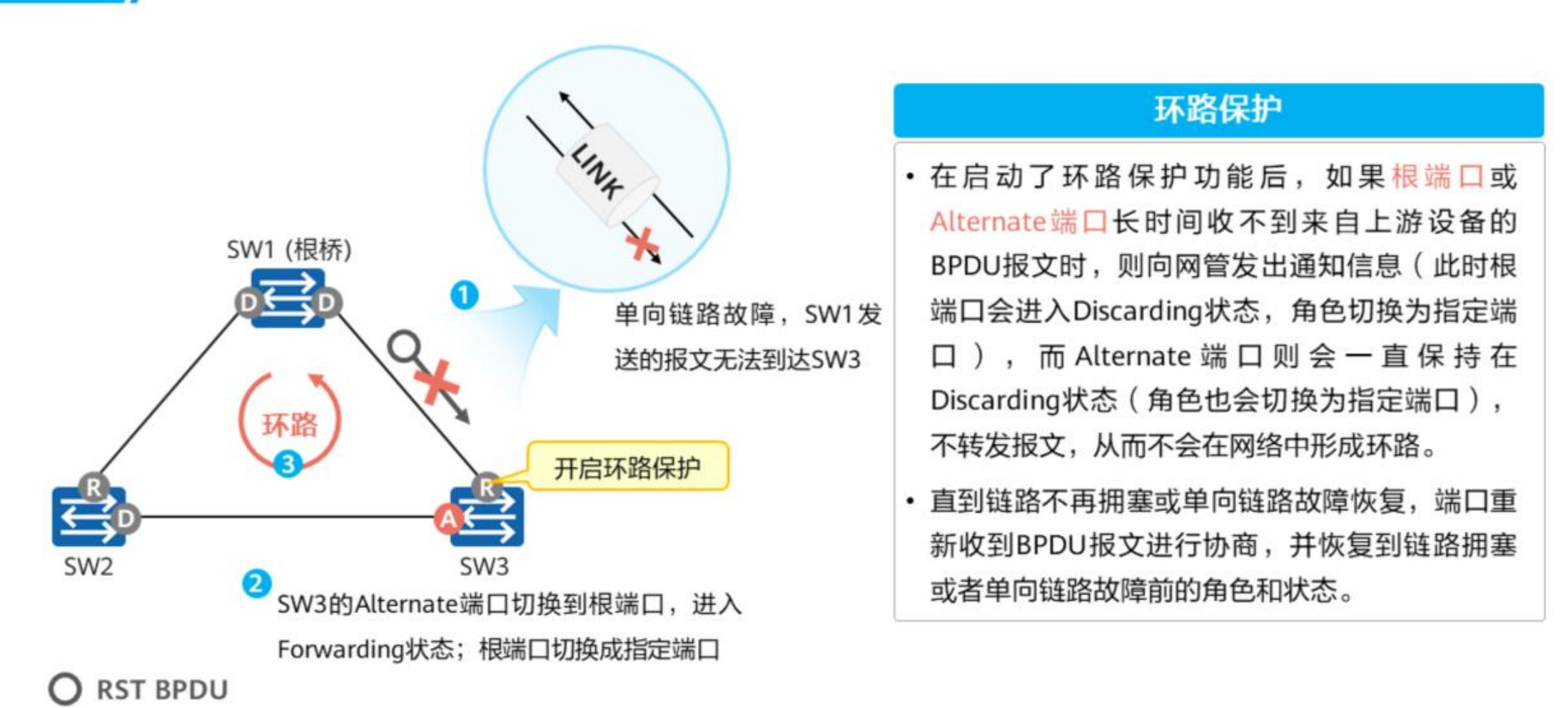 生成树协议-2026-0801-12:56:19-42