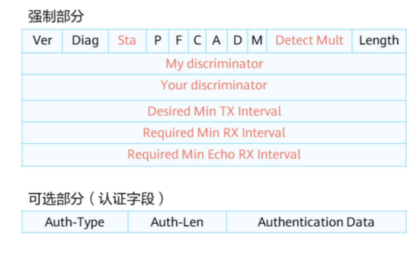 BFD基础-2026-0801-12:56:12-2
