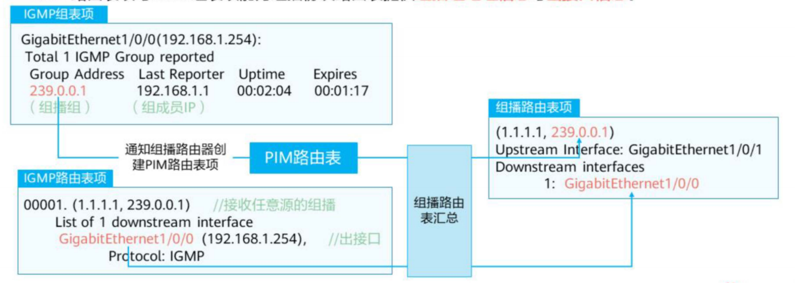 IGMP基础-2026-0801-12:56:25-4