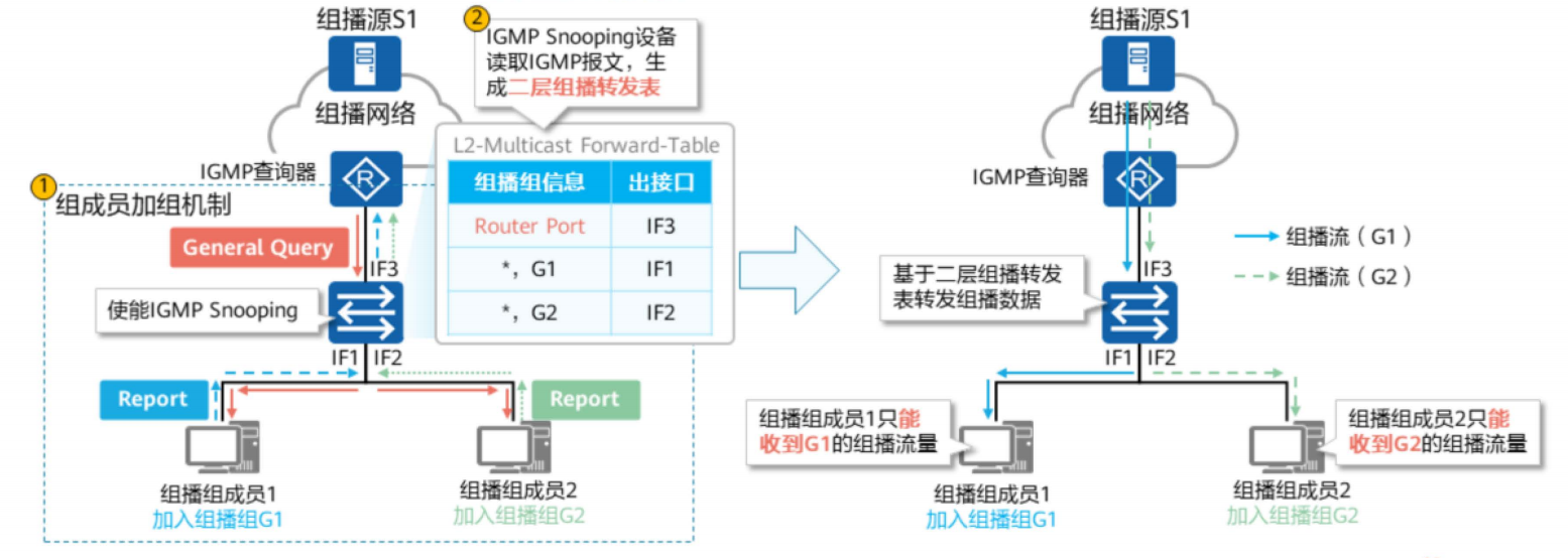 IGMP基础-2026-0801-12:56:31-18