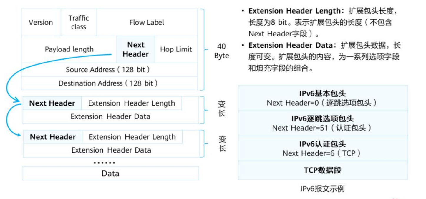 IP路由基础-2026-0801-12:56:33-20