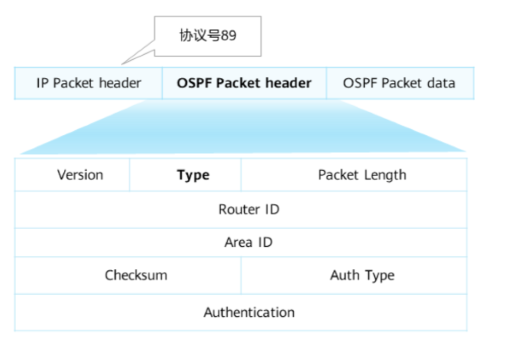 OSPF基础-2026-0801-12:56:41-1