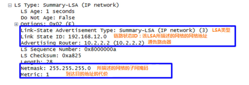 OSPF基础-2026-0801-12:56:50-24