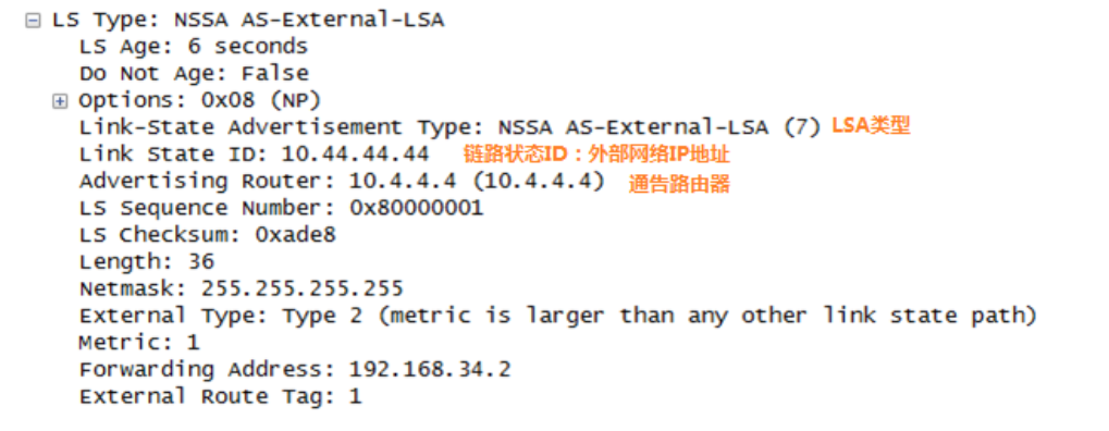 OSPF基础-2026-0801-12:56:51-29