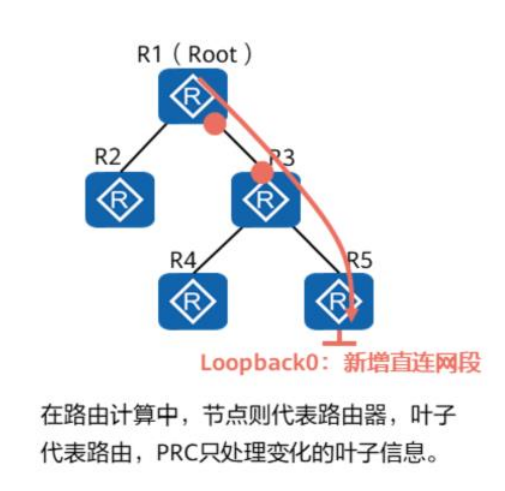 OSPF基础-2026-0801-12:56:52-30