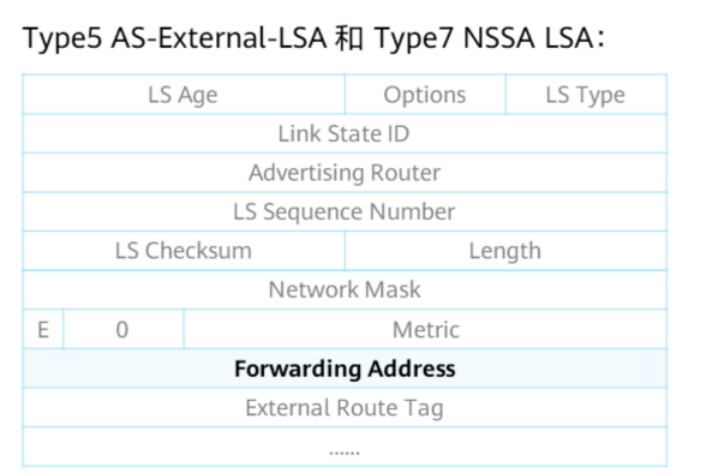 OSPF基础-2026-0801-12:56:54-35