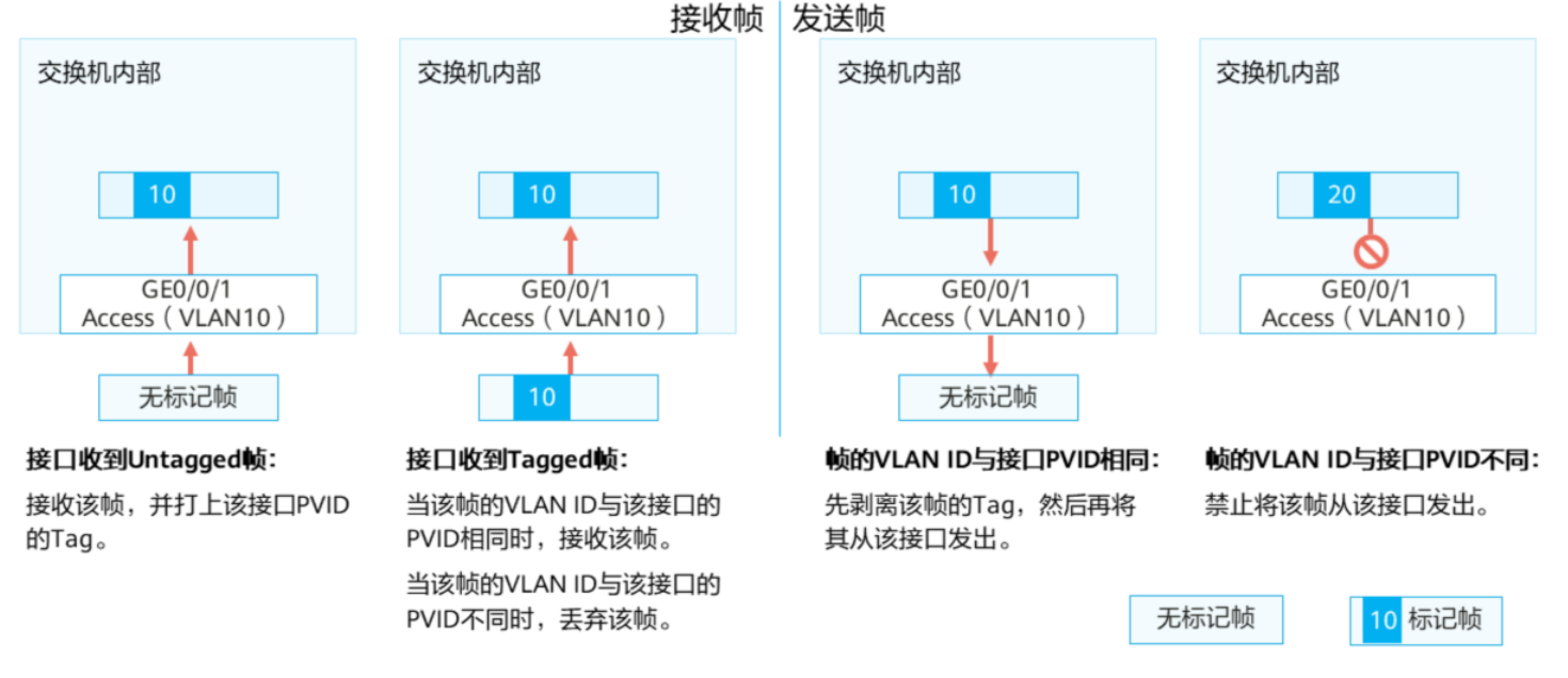 VLAN基础-2026-0801-12:56:56-5