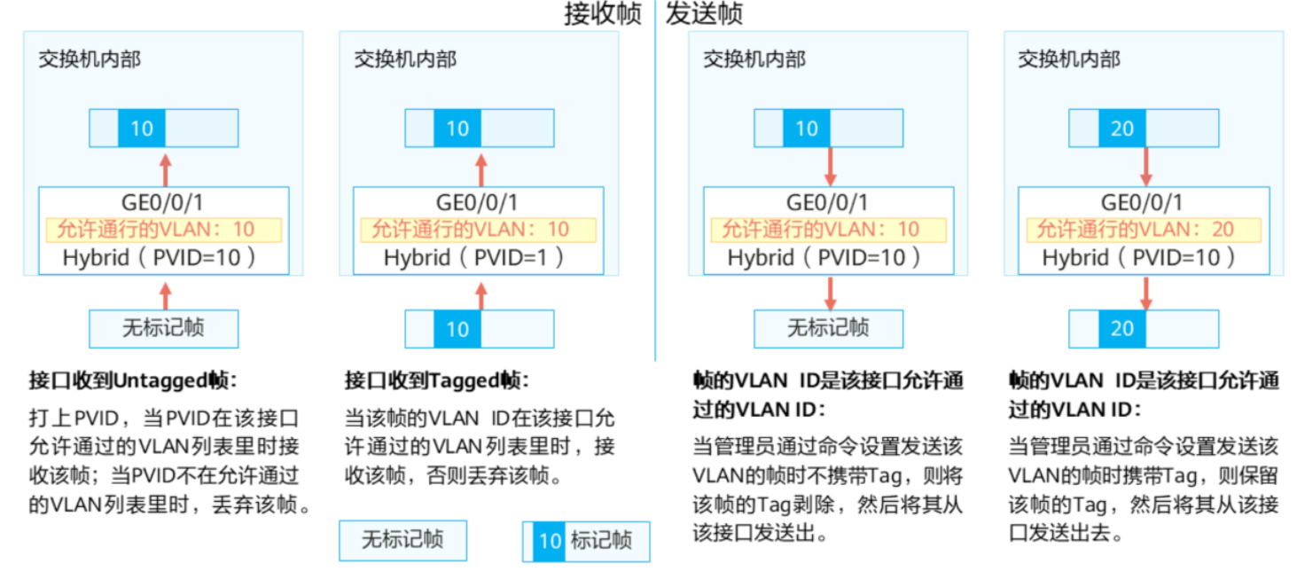 VLAN基础-2026-0801-12:56:56-7