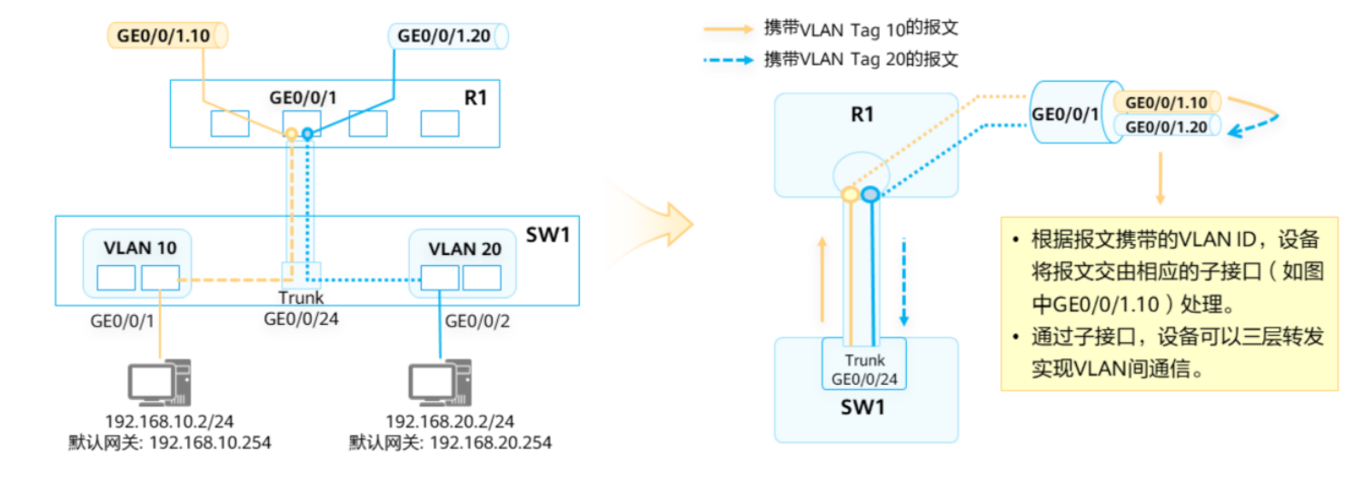 VLAN基础-2026-0801-12:56:58-12