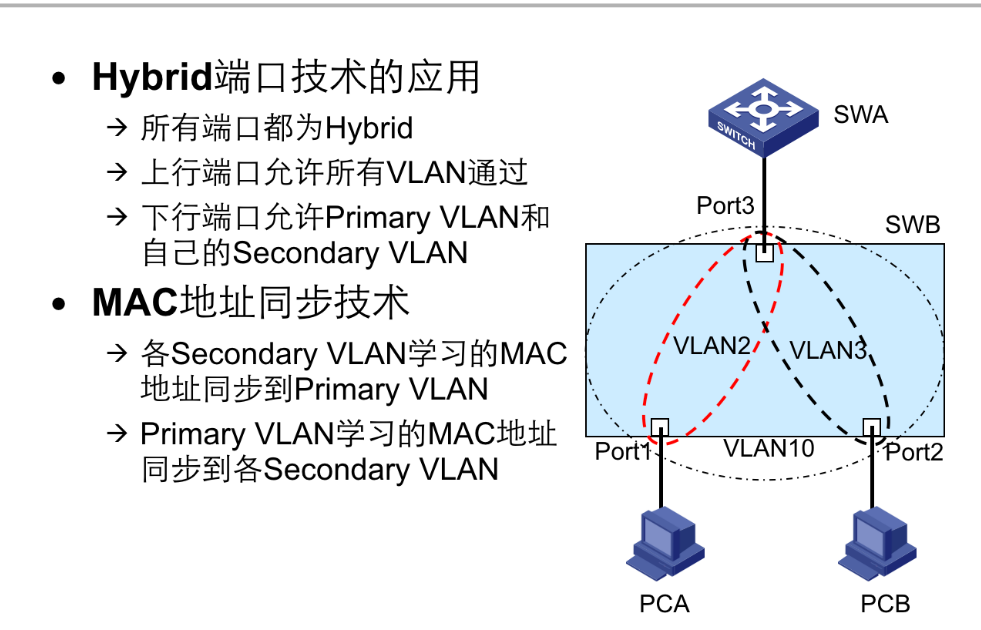 VLAN扩展技术-2026-0801-12:56:59-11